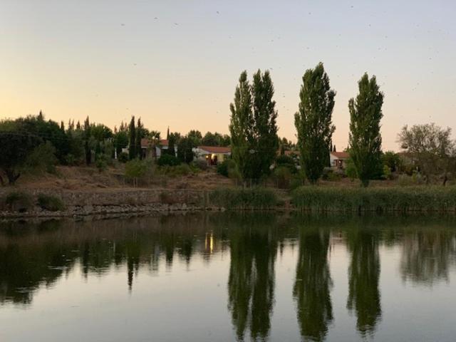 El Pueblo De Leo Hotel Badajoz Ngoại thất bức ảnh