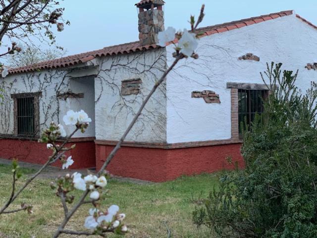 El Pueblo De Leo Hotel Badajoz Ngoại thất bức ảnh